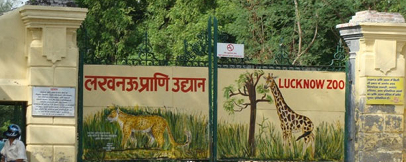 Lucknow Zoo 
